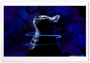 Kitten In Smoke, Neon Glow Line And Brush Effect Ultra HD Wallpaper for 4K UHD Widescreen desktop, tablet & smartphone