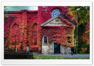 Klara Church, Stockholm Ultra HD Wallpaper for 4K UHD Widescreen desktop, tablet & smartphone