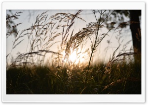 Kocevje Sunset Ultra HD Wallpaper for 4K UHD Widescreen desktop, tablet & smartphone
