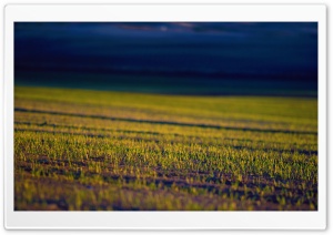 La Mancha, Spain Ultra HD Wallpaper for 4K UHD Widescreen desktop, tablet & smartphone