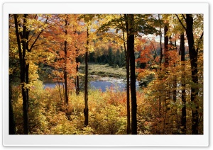 Lake Fortune, Gatineau Park, Quebec, Canada Ultra HD Wallpaper for 4K UHD Widescreen desktop, tablet & smartphone