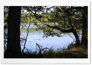Lake in Forest Ultra HD Wallpaper for 4K UHD Widescreen desktop, tablet & smartphone