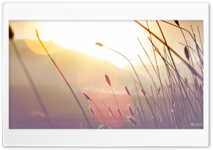 Land View - CS9 Premium Photography Ultra HD Wallpaper for 4K UHD Widescreen desktop, tablet & smartphone