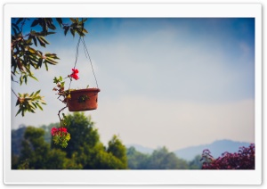Landscape Flower Pot Ultra HD Wallpaper for 4K UHD Widescreen desktop, tablet & smartphone