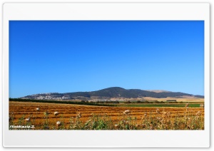 landscape from plaestine Ultra HD Wallpaper for 4K UHD Widescreen desktop, tablet & smartphone