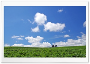Landscape, Hokkaido, Japan Ultra HD Wallpaper for 4K UHD Widescreen desktop, tablet & smartphone