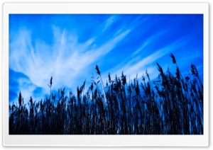 Landscape Nature 18 Ultra HD Wallpaper for 4K UHD Widescreen desktop, tablet & smartphone