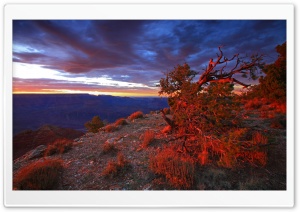 Landscape Nature 23 Ultra HD Wallpaper for 4K UHD Widescreen desktop, tablet & smartphone