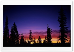 Landscape Nature 6 Ultra HD Wallpaper for 4K UHD Widescreen desktop, tablet & smartphone