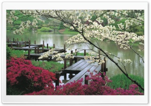 Landscapes Desktop HD Ultra HD Wallpaper for 4K UHD Widescreen desktop, tablet & smartphone