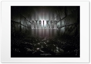 LAST STALKER Ultra HD Wallpaper for 4K UHD Widescreen desktop, tablet & smartphone