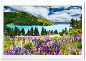 Lavender, Mountains Ultra HD Wallpaper for 4K UHD Widescreen desktop, tablet & smartphone