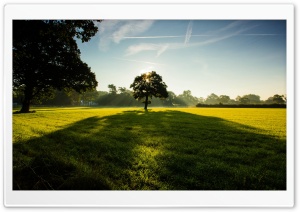 Lawn Ultra HD Wallpaper for 4K UHD Widescreen desktop, tablet & smartphone