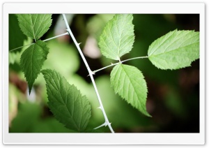Lead Graph Ultra HD Wallpaper for 4K UHD Widescreen desktop, tablet & smartphone