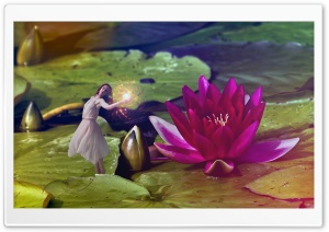 Leaves in Water Ultra HD Wallpaper for 4K UHD Widescreen desktop, tablet & smartphone