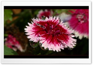 Lens Effect Ultra HD Wallpaper for 4K UHD Widescreen desktop, tablet & smartphone