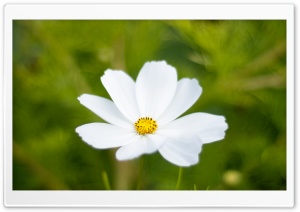Lens Painting II Ultra HD Wallpaper for 4K UHD Widescreen desktop, tablet & smartphone