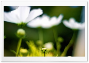 Lens Painting III Ultra HD Wallpaper for 4K UHD Widescreen desktop, tablet & smartphone