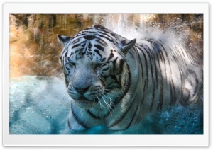Let it Rain Ultra HD Wallpaper for 4K UHD Widescreen desktop, tablet & smartphone