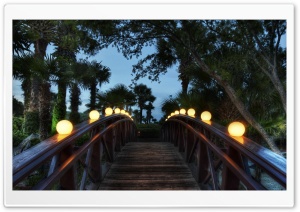 Lighted Bridge Ultra HD Wallpaper for 4K UHD Widescreen desktop, tablet & smartphone