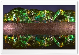 Lighted Trees in Tokyo Ultra HD Wallpaper for 4K UHD Widescreen desktop, tablet & smartphone