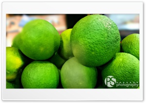 Lime - P.S photography Ultra HD Wallpaper for 4K UHD Widescreen desktop, tablet & smartphone