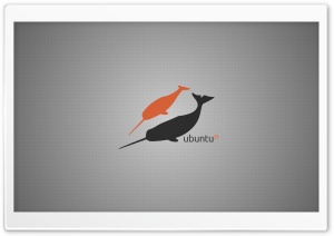 Linux Narwhals Ultra HD Wallpaper for 4K UHD Widescreen desktop, tablet & smartphone