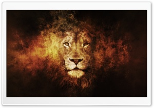 Lion Ultra HD Wallpaper for 4K UHD Widescreen desktop, tablet & smartphone
