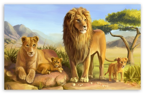 Lion Family Ultra HD Desktop Background Wallpaper for 4K UHD TV : Tablet :  Smartphone