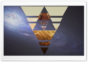 Lion Galaxy Ultra HD Wallpaper for 4K UHD Widescreen desktop, tablet & smartphone