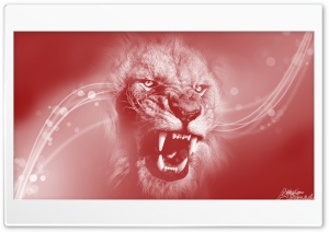 Lion x Ultra HD Wallpaper for 4K UHD Widescreen desktop, tablet & smartphone