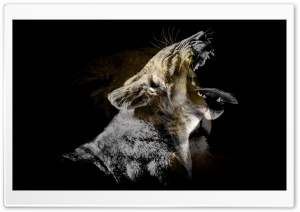 Lions Ultra HD Wallpaper for 4K UHD Widescreen desktop, tablet & smartphone