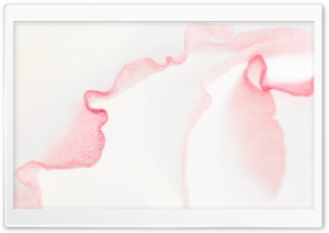 Lisianthus Light Pink Flower Macro Ultra HD Wallpaper for 4K UHD Widescreen desktop, tablet & smartphone