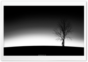 Lonely Ultra HD Wallpaper for 4K UHD Widescreen desktop, tablet & smartphone