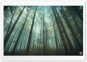 Lost Ultra HD Wallpaper for 4K UHD Widescreen desktop, tablet & smartphone