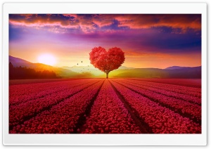 Love Ultra HD Wallpaper for 4K UHD Widescreen desktop, tablet & smartphone