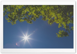 Lying on Back, Looking Up Ultra HD Wallpaper for 4K UHD Widescreen desktop, tablet & smartphone