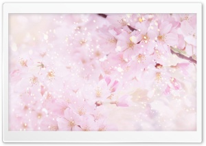 Magic Blooming Tree Ultra HD Wallpaper for 4K UHD Widescreen desktop, tablet & smartphone