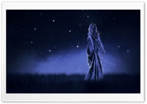 Magic Night Ultra HD Wallpaper for 4K UHD Widescreen desktop, tablet & smartphone