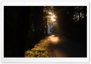 Magic Way Ultra HD Wallpaper for 4K UHD Widescreen desktop, tablet & smartphone