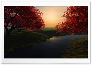 Maple Pond Ultra HD Wallpaper for 4K UHD Widescreen desktop, tablet & smartphone
