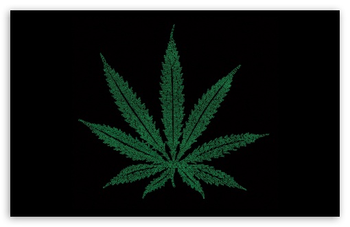 Marijuana Leaf Typography Ultra HD Desktop Background Wallpaper for 4K UHD  TV : Tablet : Smartphone