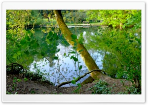 May - Nature Ultra HD Wallpaper for 4K UHD Widescreen desktop, tablet & smartphone