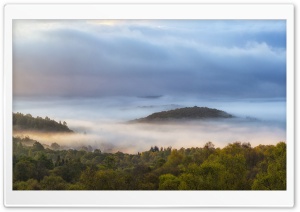 Misty Autumn Morning Ultra HD Wallpaper for 4K UHD Widescreen desktop, tablet & smartphone