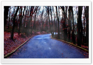 Misty Morning Ultra HD Wallpaper for 4K UHD Widescreen desktop, tablet & smartphone