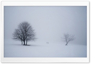 Misty Scene from Winterberg, Germany Ultra HD Wallpaper for 4K UHD Widescreen desktop, tablet & smartphone