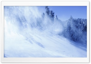 Misty Winter Day Ultra HD Wallpaper for 4K UHD Widescreen desktop, tablet & smartphone