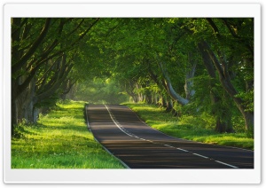 Mood To Drive Ultra HD Wallpaper for 4K UHD Widescreen desktop, tablet & smartphone