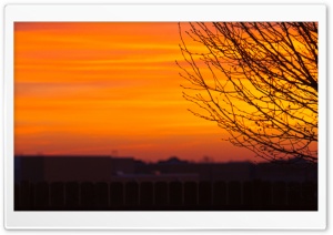 Morning Ultra HD Wallpaper for 4K UHD Widescreen desktop, tablet & smartphone
