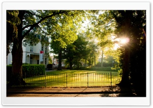 Morning   Oorsprongpark, Utrecht Ultra HD Wallpaper for 4K UHD Widescreen desktop, tablet & smartphone